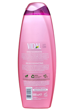 Гель для ванны и душа VIDAL bagno ml 500 more e muschio