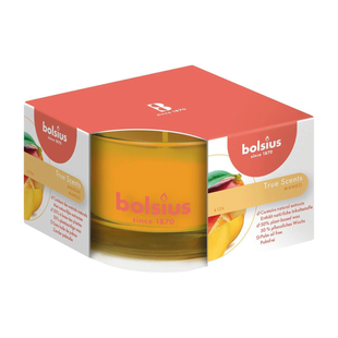 Ароматическая свеча bols.sc.BIC. 50/80 mango