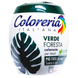 Краска для одежды зеленый цвет COLORERIA verde foresta 350 г.