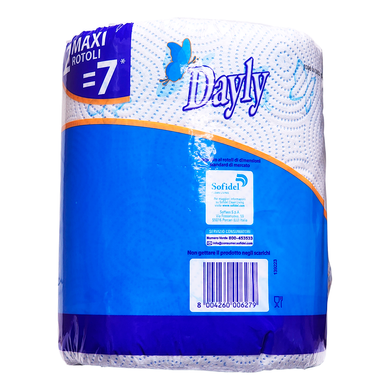 Полотенца бумажные в рулоне DAYLY bobina multiuso 2 rotoli maxi 2 vl 170 strappi a rotolo